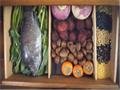 Synesthesia Food Inspired Sounds