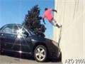 Stunts and Tricks Cool Moves