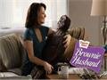 Brownie Husband