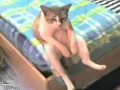 Cat Chillin On Bed
