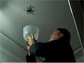 Big Spider