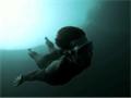Freedive