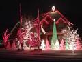 Christmas Lights 2010