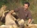 Lion Man