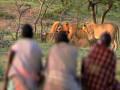 Men and Lions