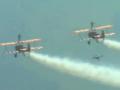 Wingwalkers