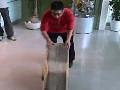 Amazing Chair