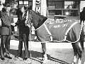 Staff Sgt Reckless