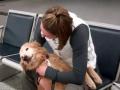 Molly Dog Welcome Home