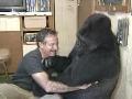 Koko and Robin Williams