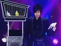 Magic Pigeons