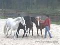 Awesome Horse Trainer