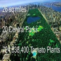 South Los Angeles Gardener - Big Geek Daddy