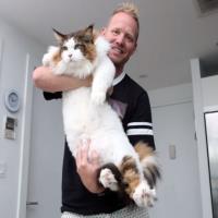 The Biggest Cat in New York City