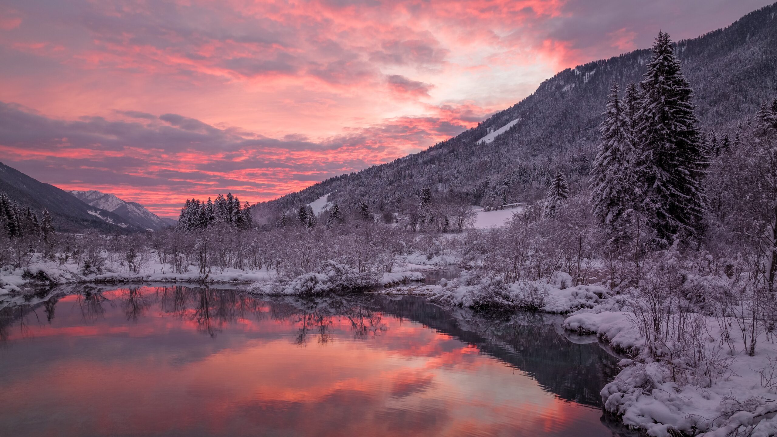 Vivid winter sunrise by the Zelenci lake in the Alps. Photo by Ales Krivec