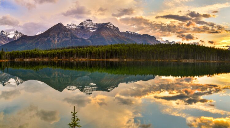 Sunset in Banff national park Canadian Rockies. Photo by Nunzio Guerrera