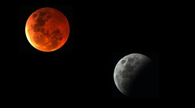 Composite image. Partial eclipse lower right, to full eclipse upper left (Mar 14, 2025). Photo by Steve Busch