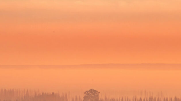 Neuquén, Argentina. Photo by Gustavo Zambelli