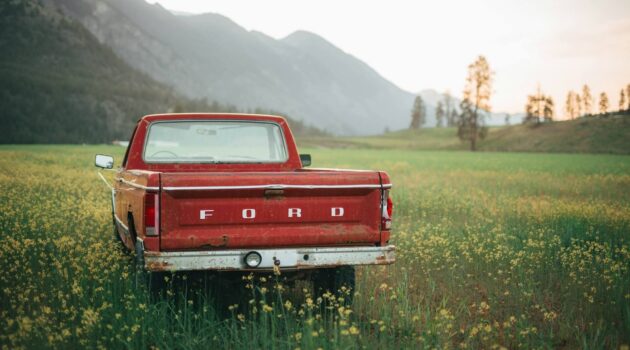 Vintage 1983 Ford F150 in a wild flower field. British Columbia, Canada. Photo by Amanda da Silva