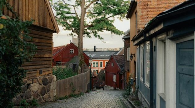 Cobblestone street. Oslo, Norway. Photo by Eirik Skarstein