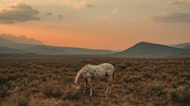 Photo by Jeffrey Allee