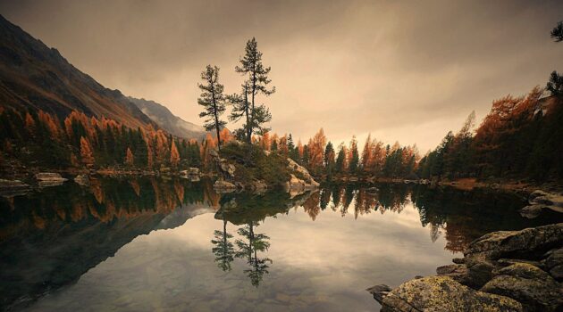 Two trees, standing lonely on a rock in the middle of the lake, defy wind and weather. Switzerland. Photo by Pascal Debrunner