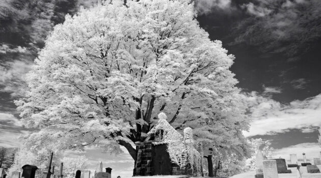 Infrared makes for an eerie view of this cemetery. Tallmadge, Ohio, USA. Photo by Dick Pratt.