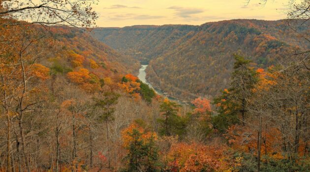 Late Fall colors at New River Gorge National Park & Preserve, West Virgina. Photo by BGD