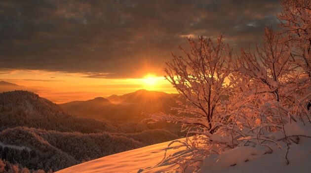 Photo by Ales Krivec