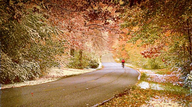 A fall shot at a park somewhere in the Cleveland, Ohio area. USA. Photo by Dick Pratt