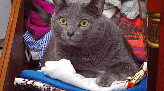 Mom... is it OK that I sleep here tonight? Akron, Ohio, USA. Photo by Dick Pratt