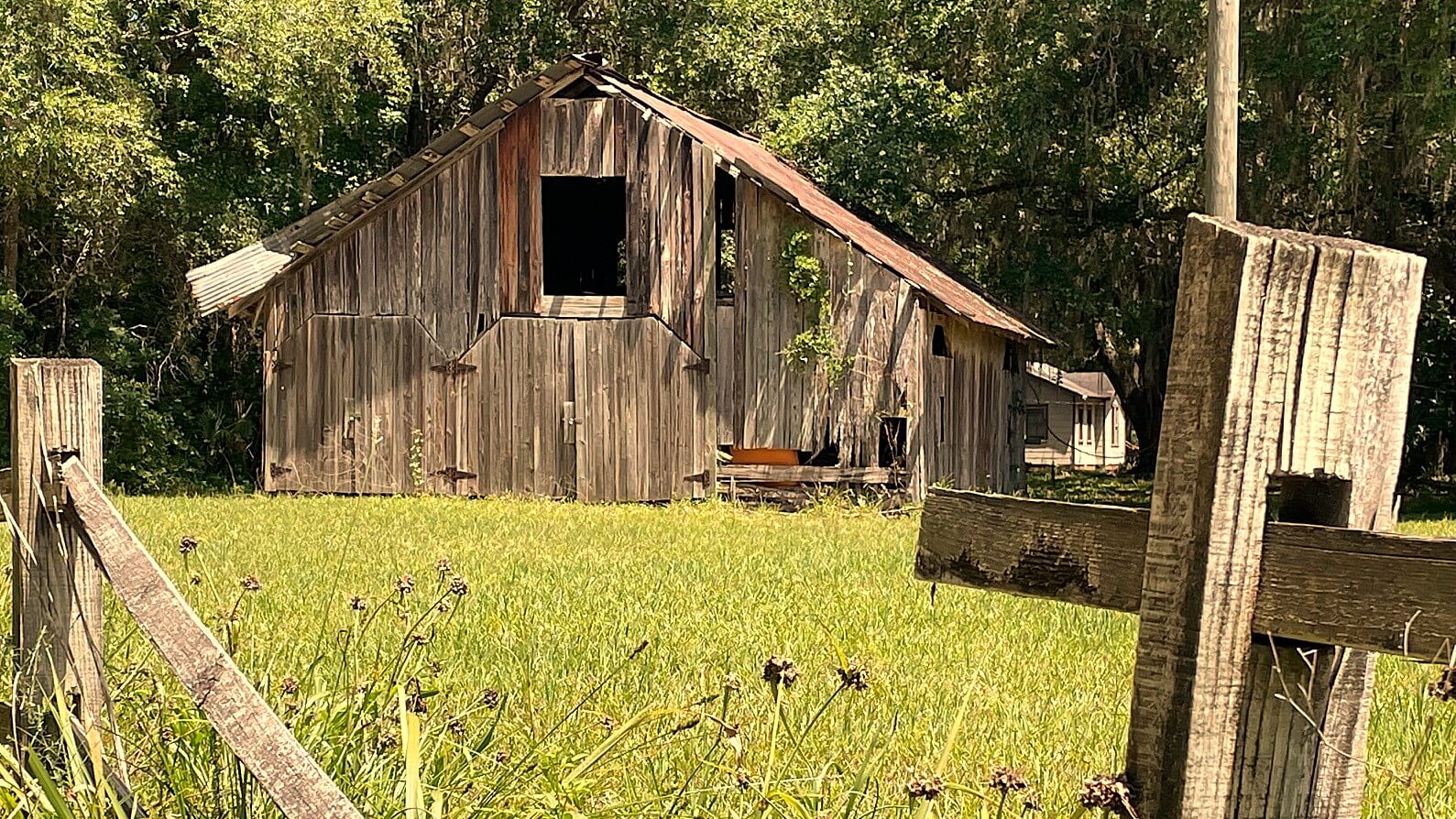 Time worn wood. Photo by Mike Kozak