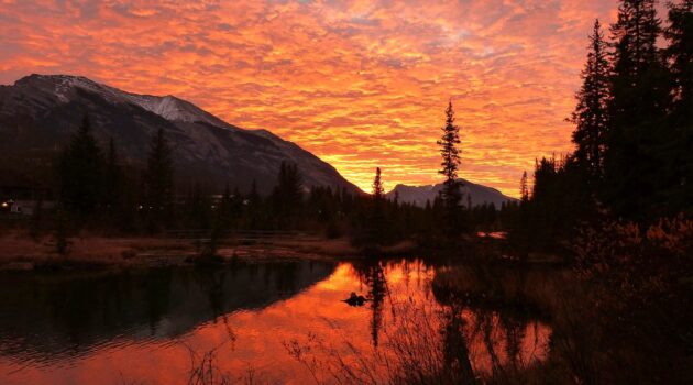 Sunrise in Canmore, Alberta, Canada. Photo by Kym MacKinnon