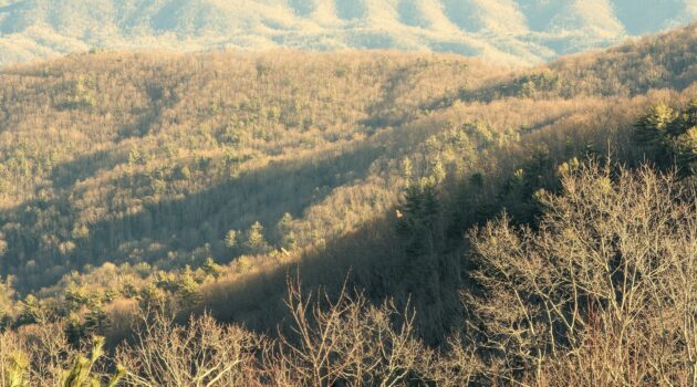 Two Hawks flying over a valley. Boone, NC. Photo by BGD.