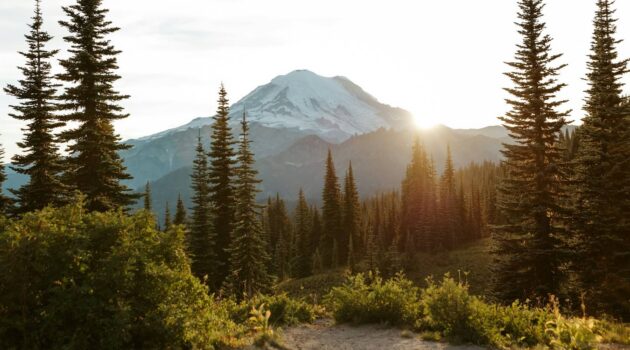 Mt. Rainier during sunset. Mt Rainier National Park, Washington, USA. Photo by Brianna Parks