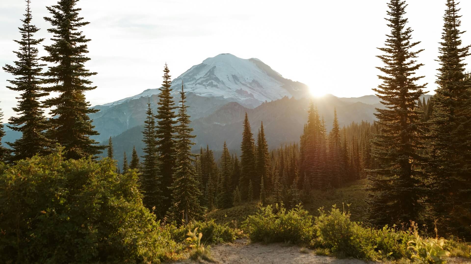 Mt. Rainier during sunset. Mt Rainier National Park, Washington, USA. Photo by Brianna Parks
