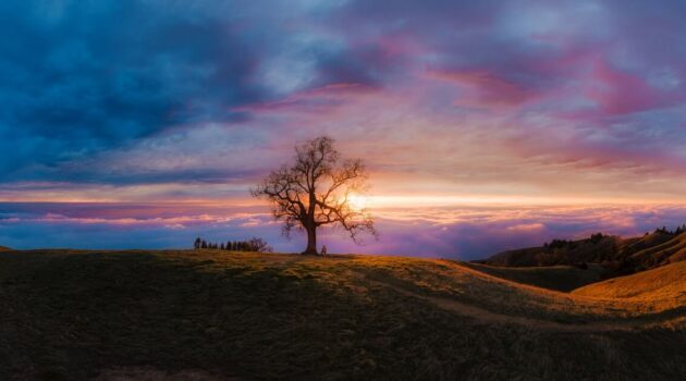Big Sur, CA, USA. Photo by Venti Views