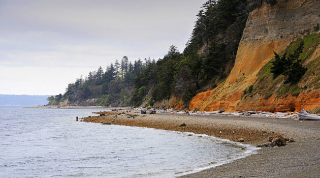A lone fisherman. Camano Island, Washington, USA. Photo by Dick Pratt