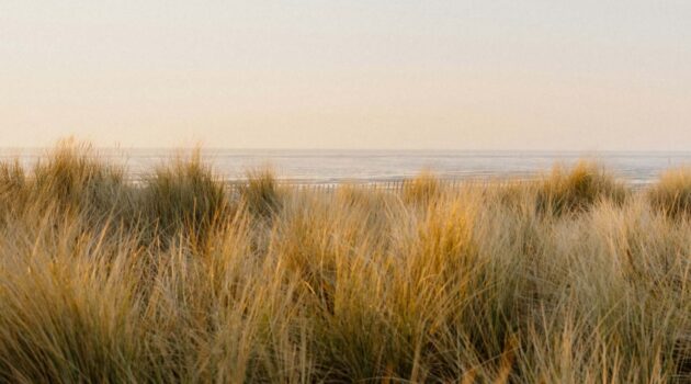 Photo by Annie Spratt
