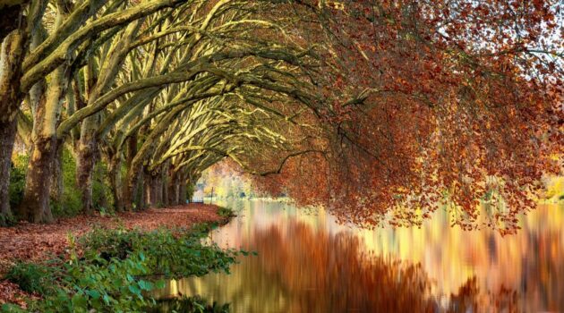 Baldeneysee, Essen, Deutschland. Photo by Evgeni Tcherkasski