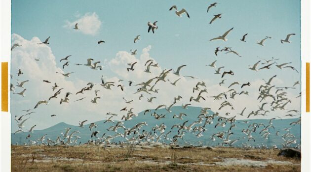 Photo by Hrant Khachatryan