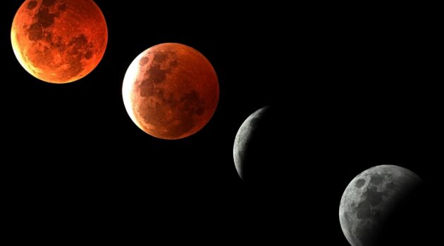 Lunar Eclipse (Mar 14, 2025). Photo by Steve Busch