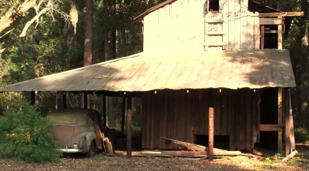 Forgotten homestead. Photo by Mike Kozak.