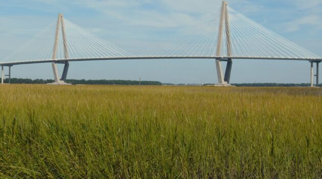 Aurthur Ravenel Jr. Bridge, Charleston, SC. Photo by Mike Kozak