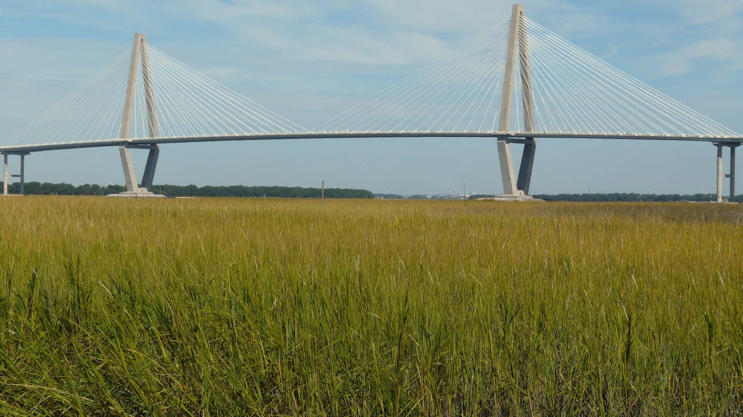 Aurthur Ravenel Jr. Bridge, Charleston, SC. Photo by Mike Kozak