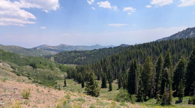 Bonanza Flat Conservation Area, Guardsman Pass, Utah. Photo by BGD