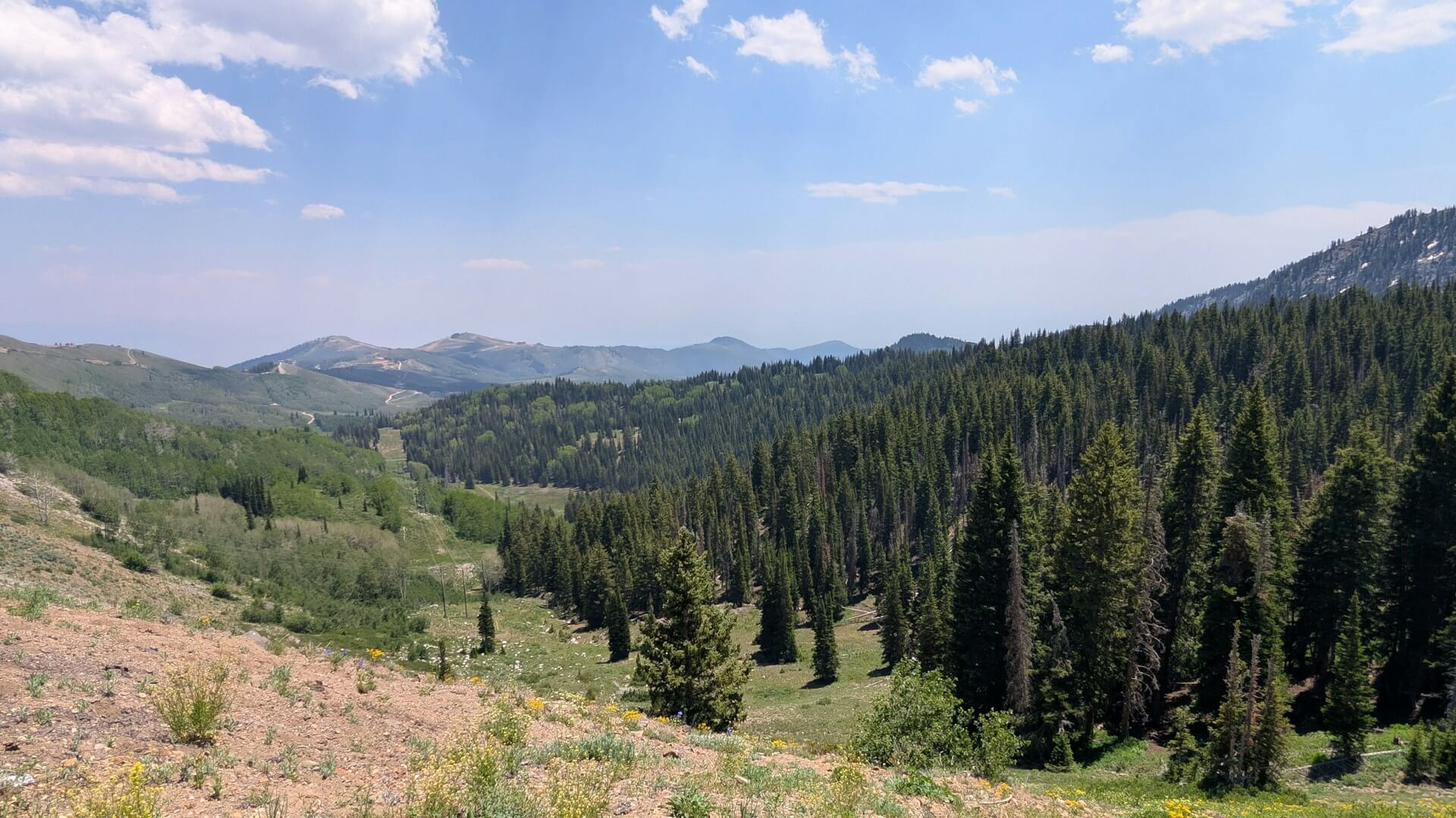 Bonanza Flat Conservation Area, Guardsman Pass, Utah. Photo by BGD