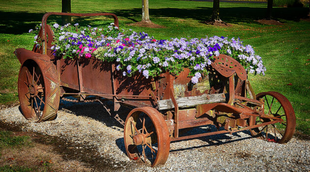 A wagon-full of flowers. Smithville, Ohio, USA. Photo by Dick Pratt