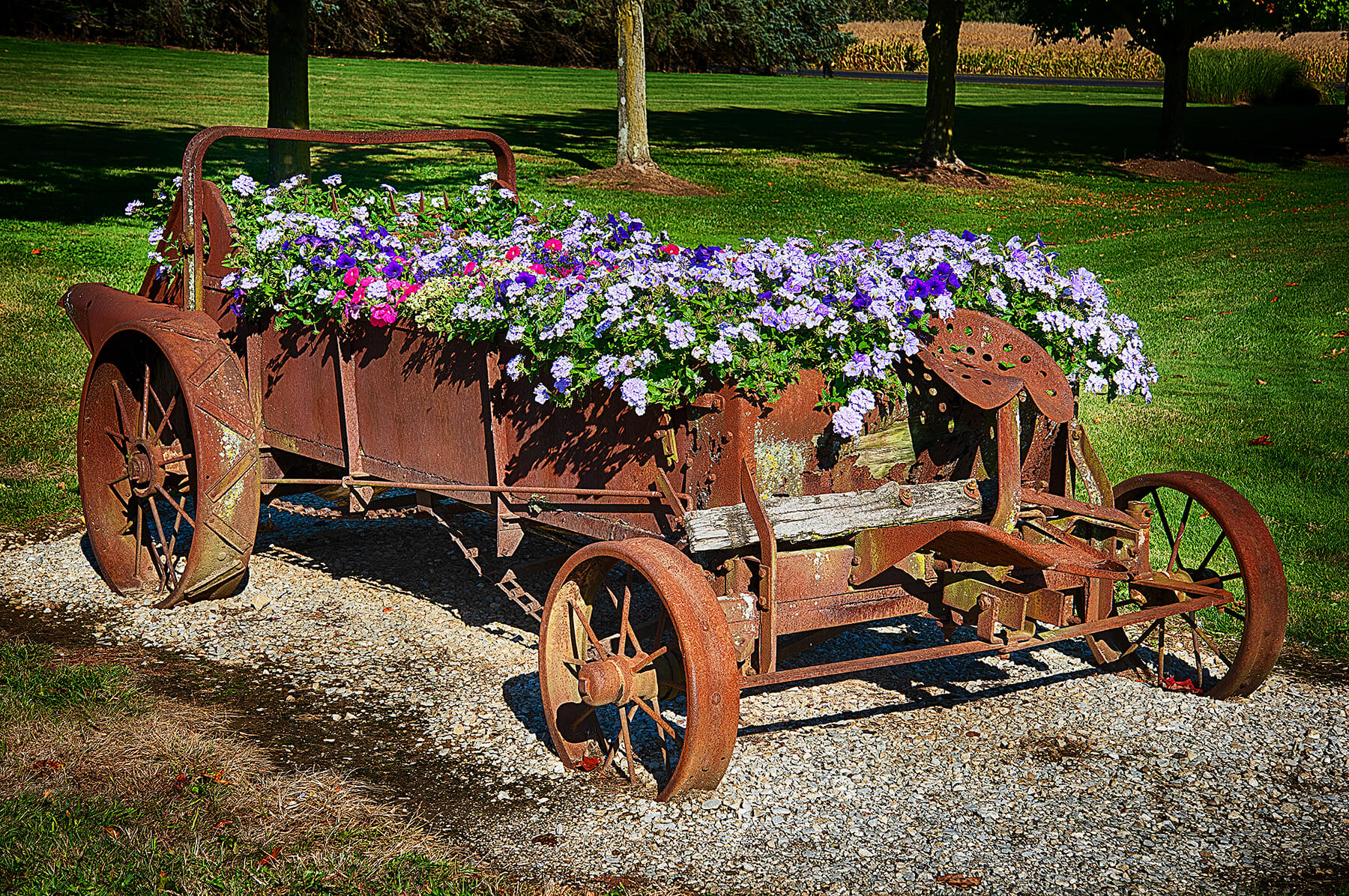 A wagon-full of flowers. Smithville, Ohio, USA. Photo by Dick Pratt