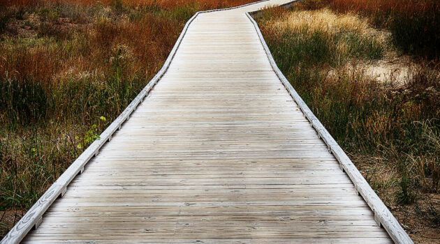 A path to the horizon ... located somewhere close to Cleveland, Ohio, USA. Photo by Dick Pratt